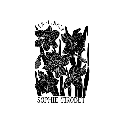 Jonquilles en Lumière