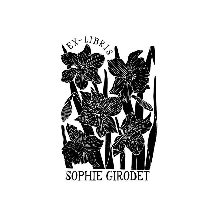 Jonquilles en Lumière