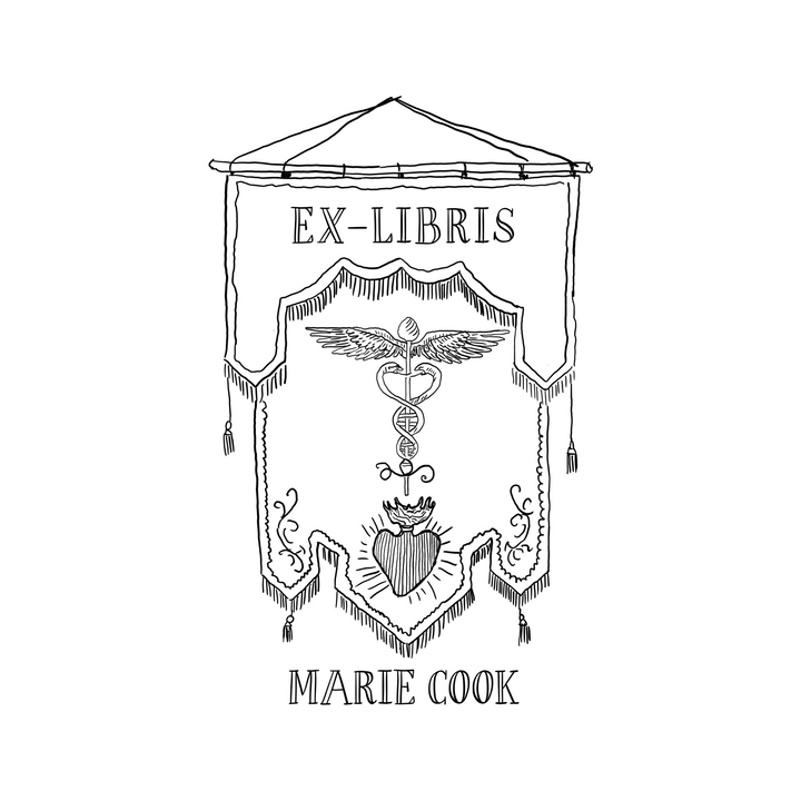 Drapeau de la Médecine