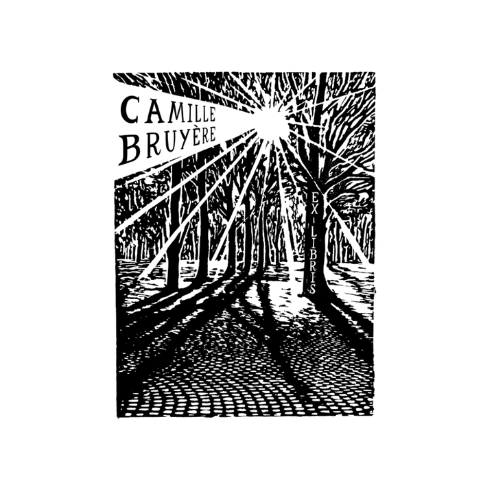 Forêt à Contre-Jour