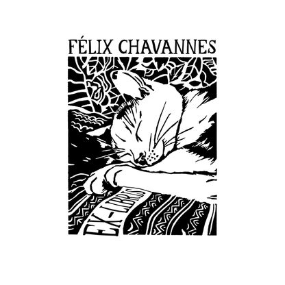 Le Chat qui Lisait Trop