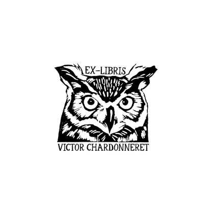 The Midnight Owl