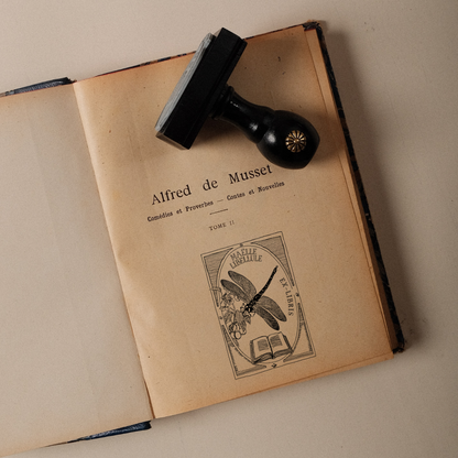 La Danseuse des Livres