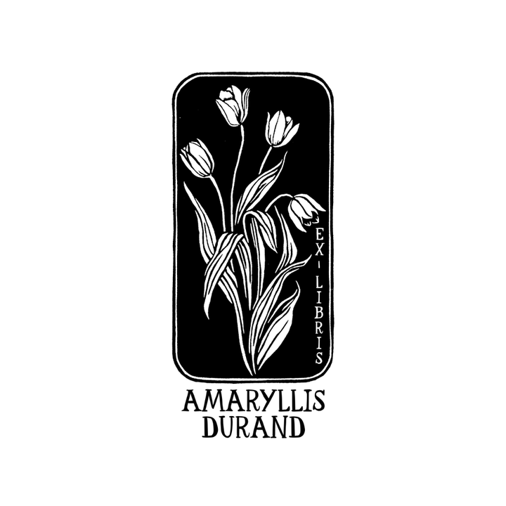 Panache de Tulipes