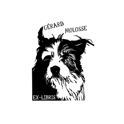 The Dog Who Read Too Much
