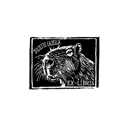 The Hairy Wisdom