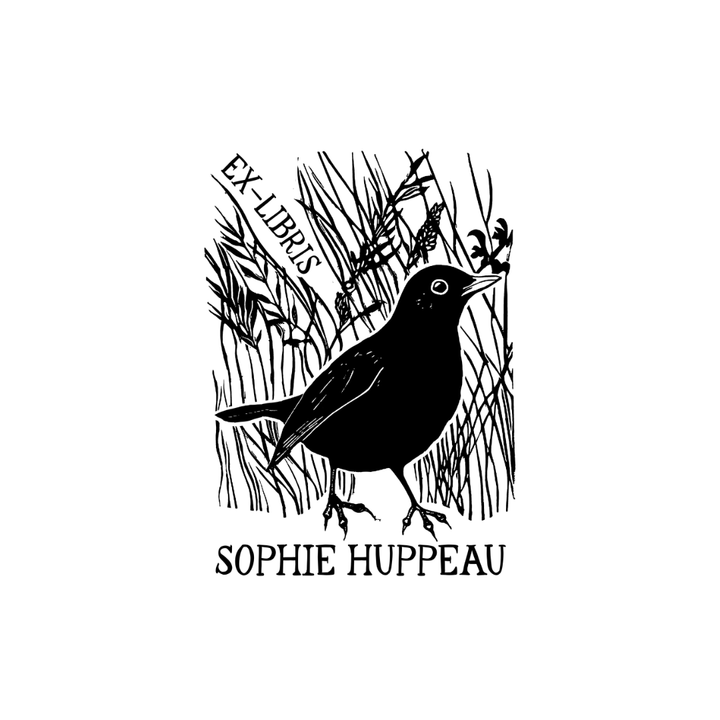 The Dreamer Blackbird of the Fields