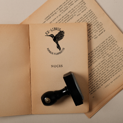 Le Colibri des Songes