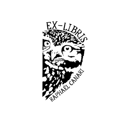 The Evening Owl