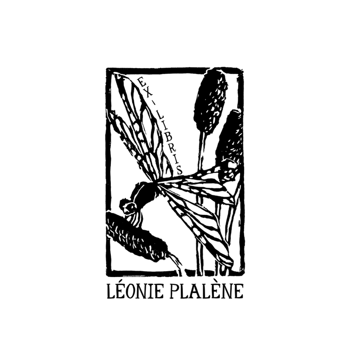 Libellule des Roseaux