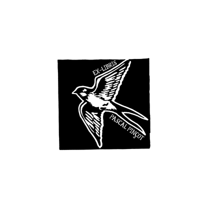 The Morning Swallow