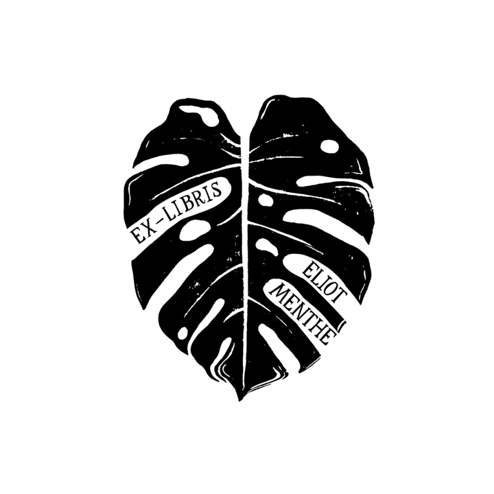 Gentle Monstera