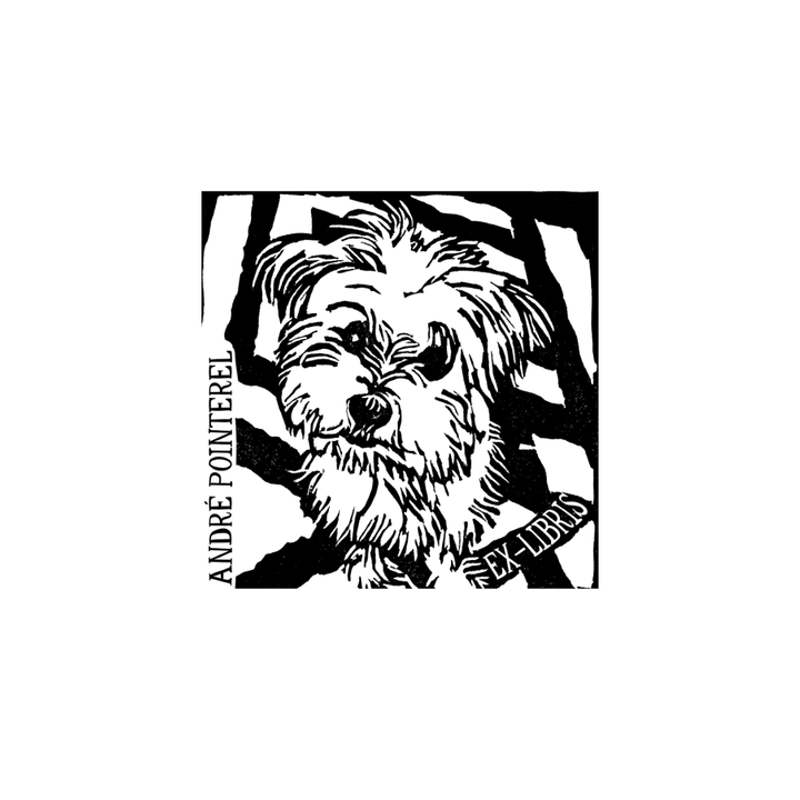 The Bibliophile’s Dog