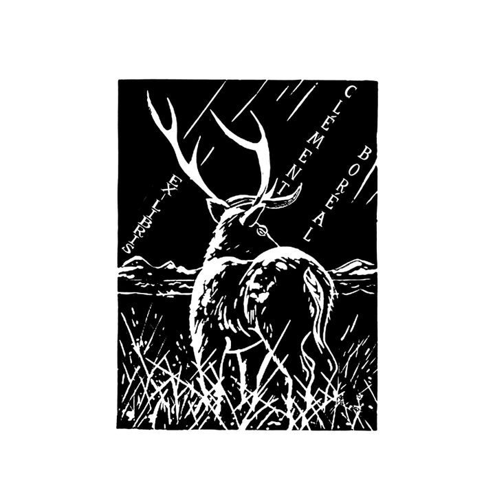 The Night of the Deer