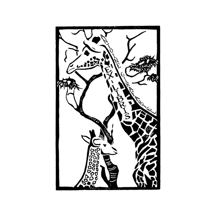 The Giraffes