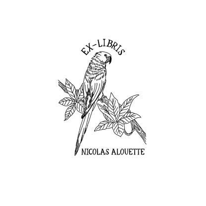 Le Perroquet des Feuillages