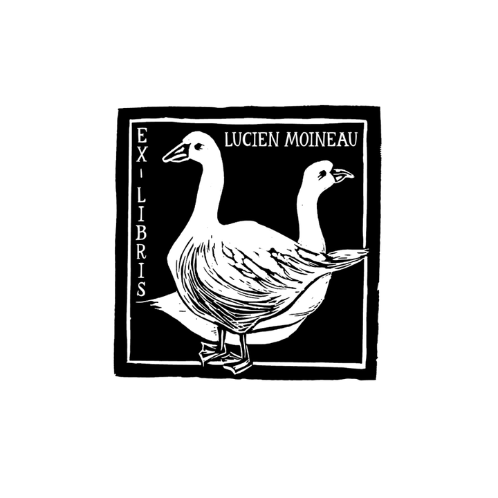 The Geese of the Preface