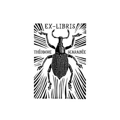 Solar Beetle