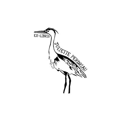 The Marsh Crane