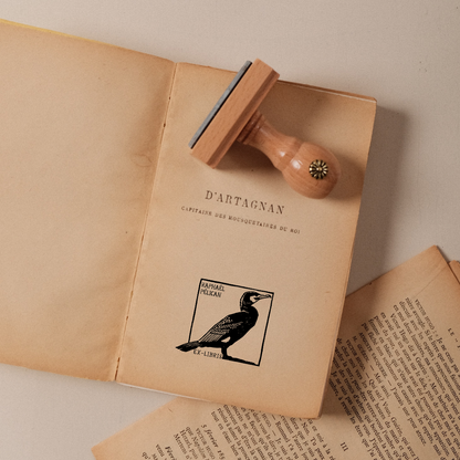 The Cormorant in Exergue