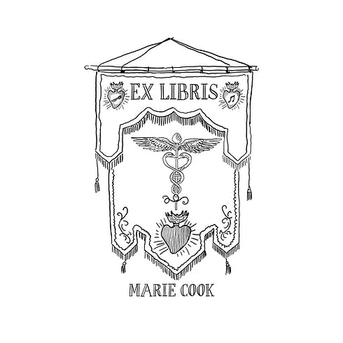 Drapeau de la Médecine