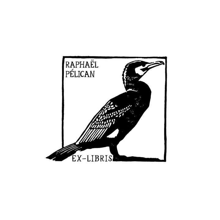 The Cormorant in Exergue