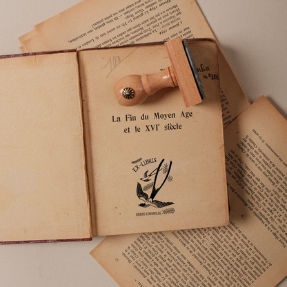 The Book Swallows