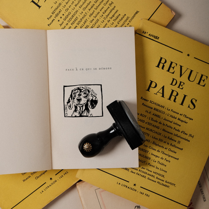 Paws in prose