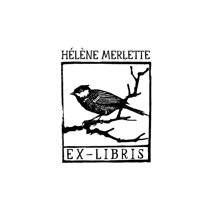 The Dreamy Merlette