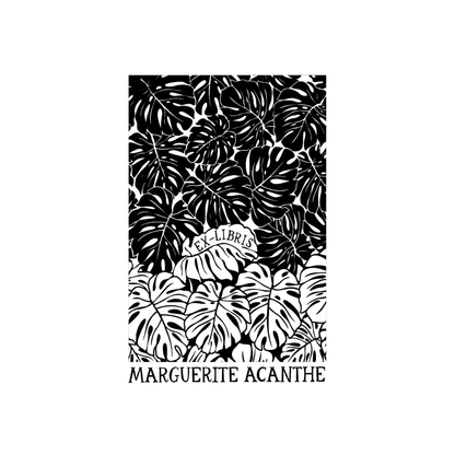 Monstera Sea