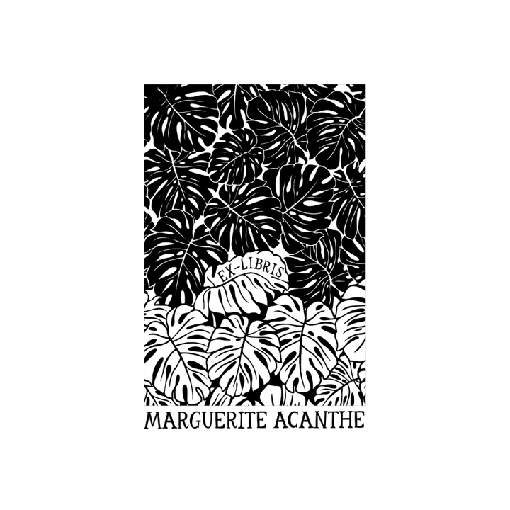 Monstera Sea