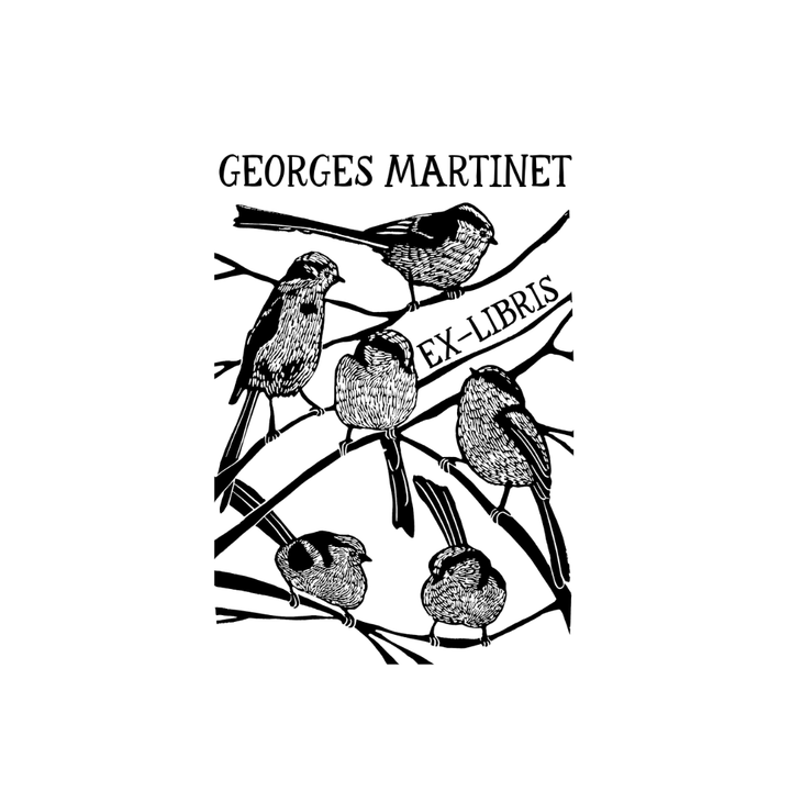 The Chickadees of the Garden