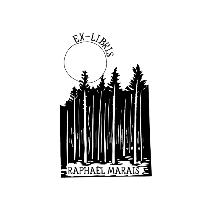 Dans la Forêt