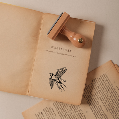 The Lonely Swallow