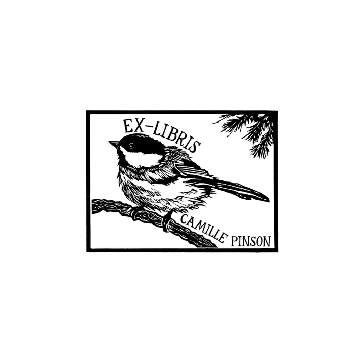 The Chickadee and the Pine Tree
