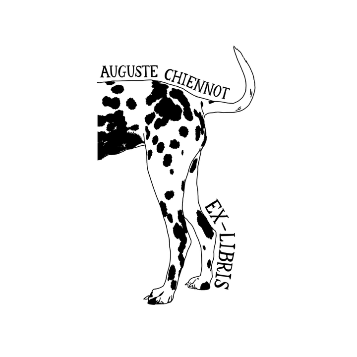 Dalmatien de salon