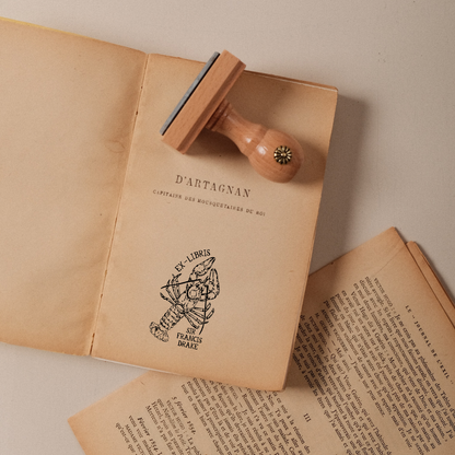 Le Lecteur à Carapace