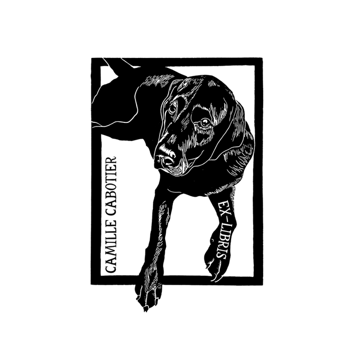 Chien d’auteur