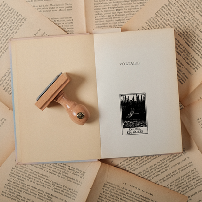 Libellule des Pages