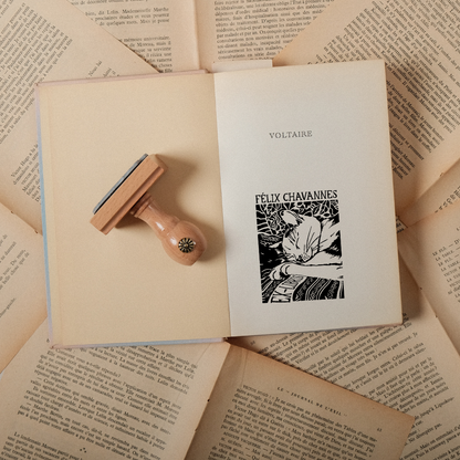 Le Chat qui Lisait Trop