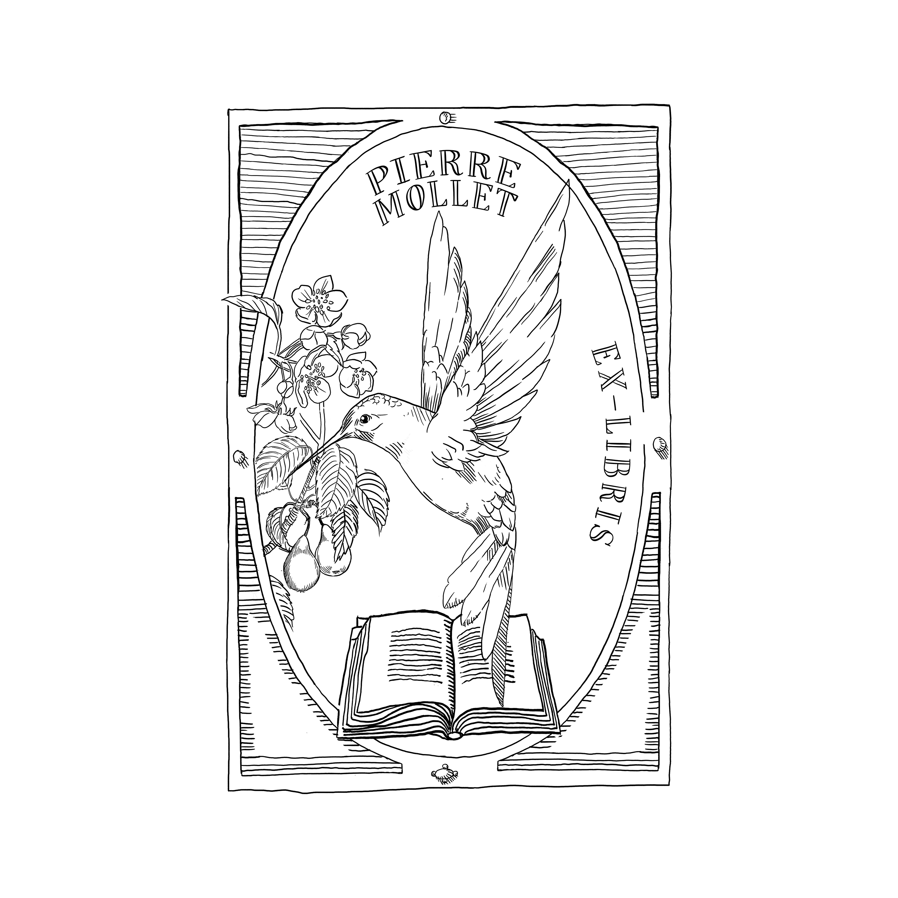 Tampons En Forme De Colibri - 5 Motifs Oiseaux - Tampon En Bois Pour Décoration Œufs, Scrapbooking, Cartes - 2