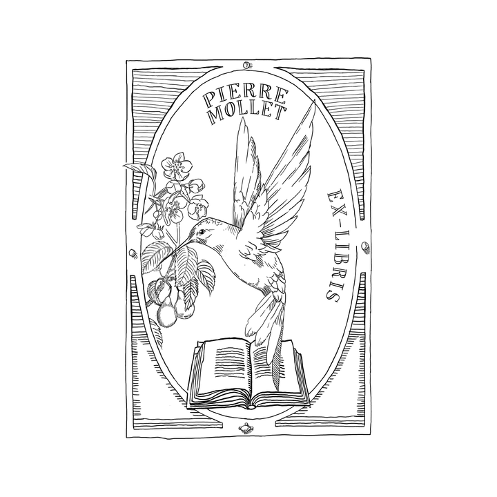 The Book-Hopping Hummingbird