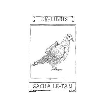 Le Pigeon Voyageur