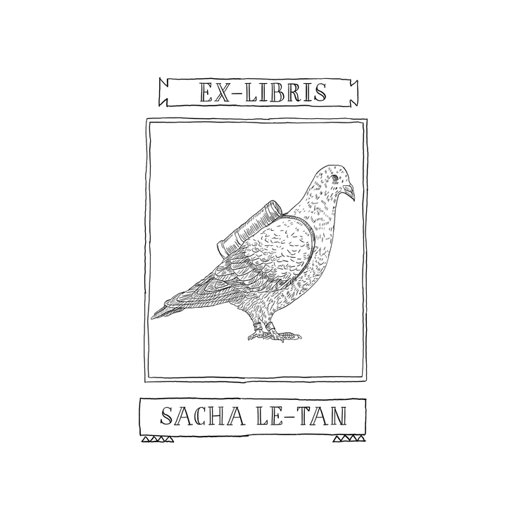 The Carrier Pigeon