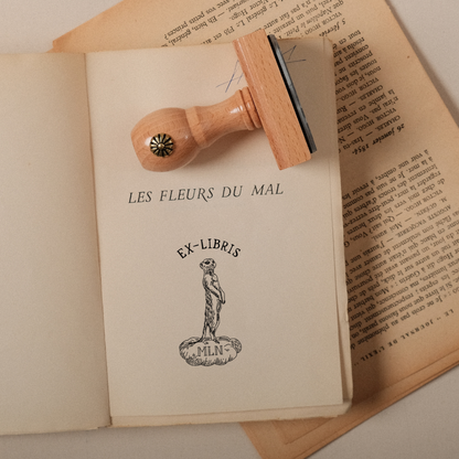 Le Suricate