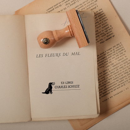 Fidèle Compagnon