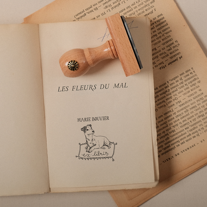 Le Jack Russel