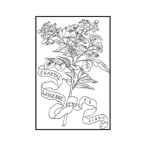 Le Bouquet de Fleurs